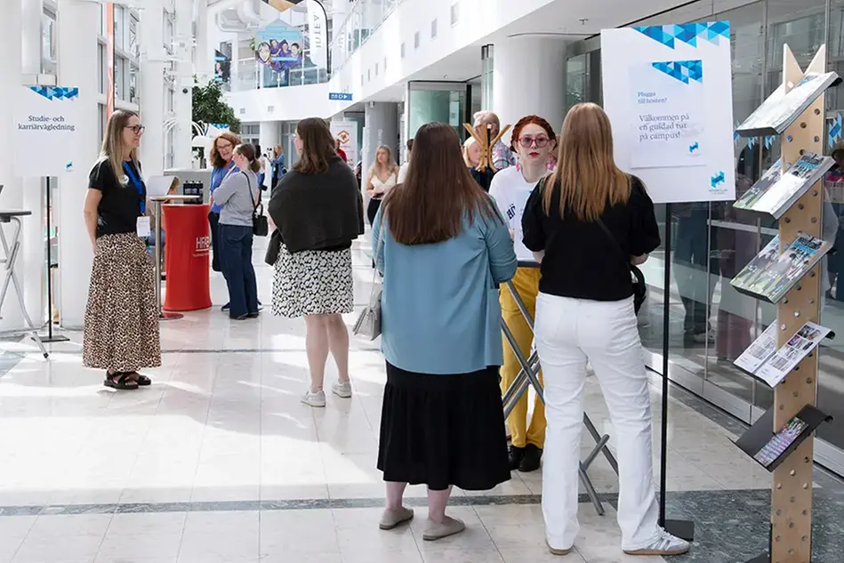 Flera personer står utspridda i en ljus lokal och konverserar i smågrupper. Foto.