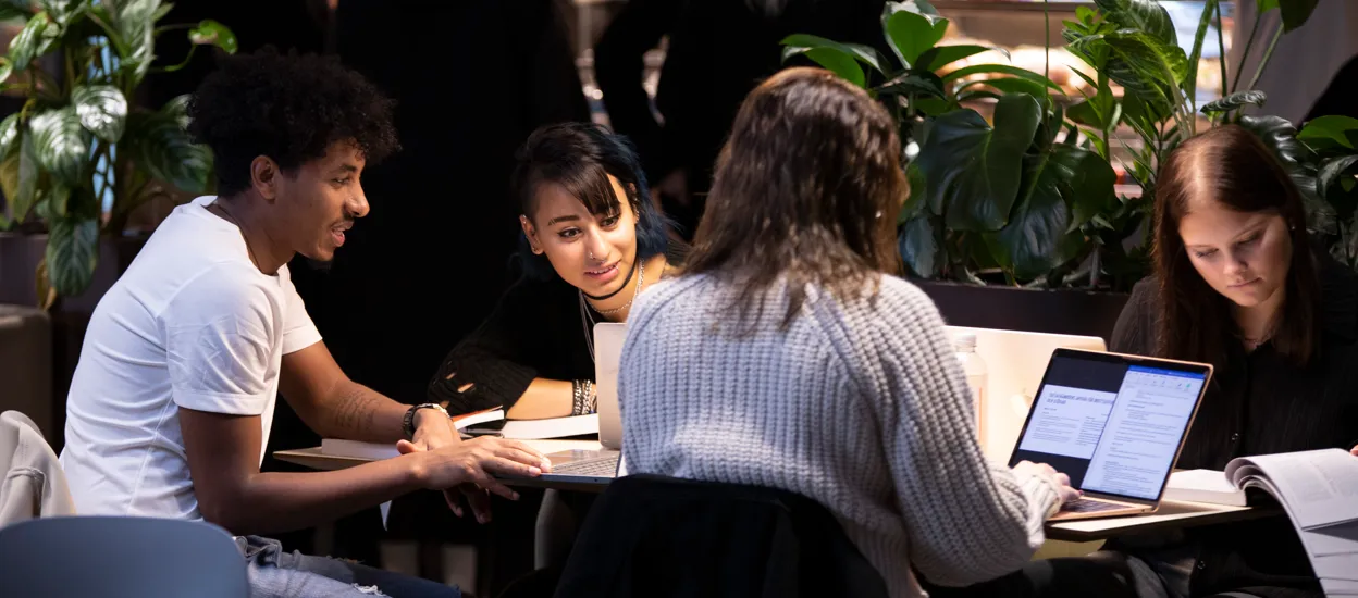 En grupp studenter pluggar tillsammans på campus. Foto.