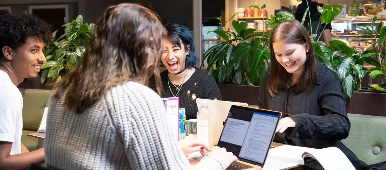 En grupp studenter pluggar tillsammans på campus. Foto.