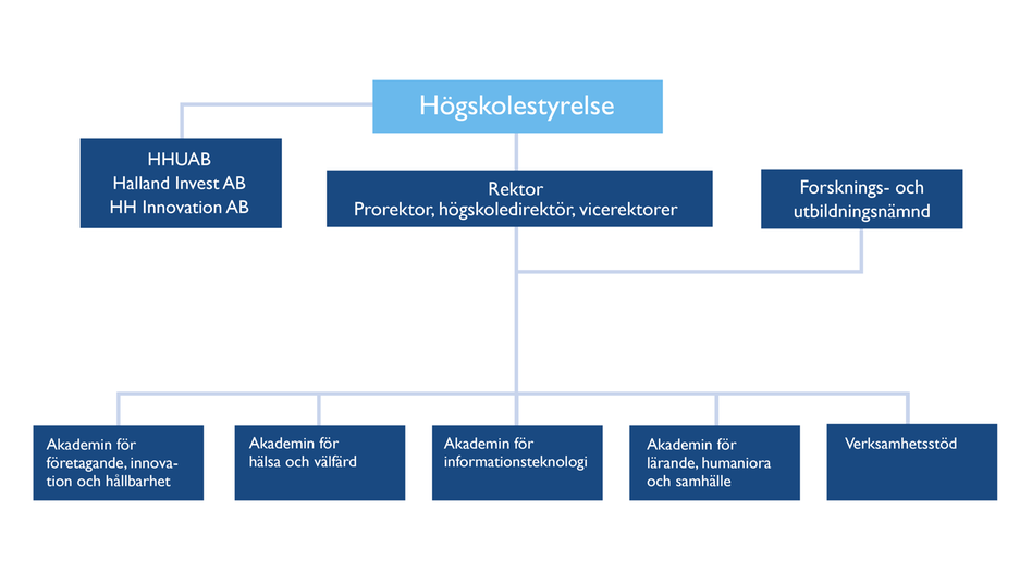 Organisationsschema