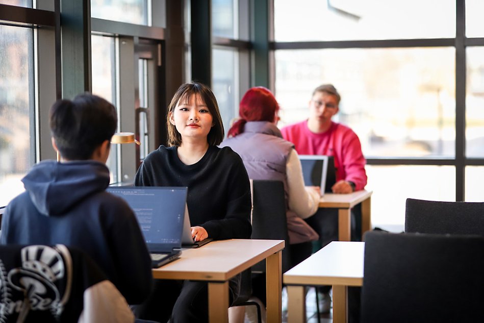 Fyra studenter sitter och pluggar framför stora fönster. Foto.