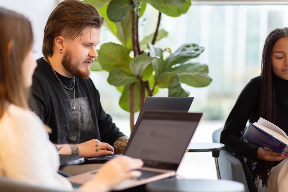 Studenter pluggar med bärbara datorer. En grön växt syns i bakgrunden. Foto.