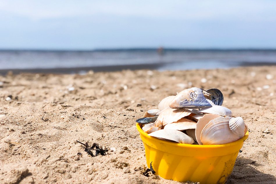 A beach with blue ocean in the background, a yellow bowl filled with seashells on the right. Photo. 