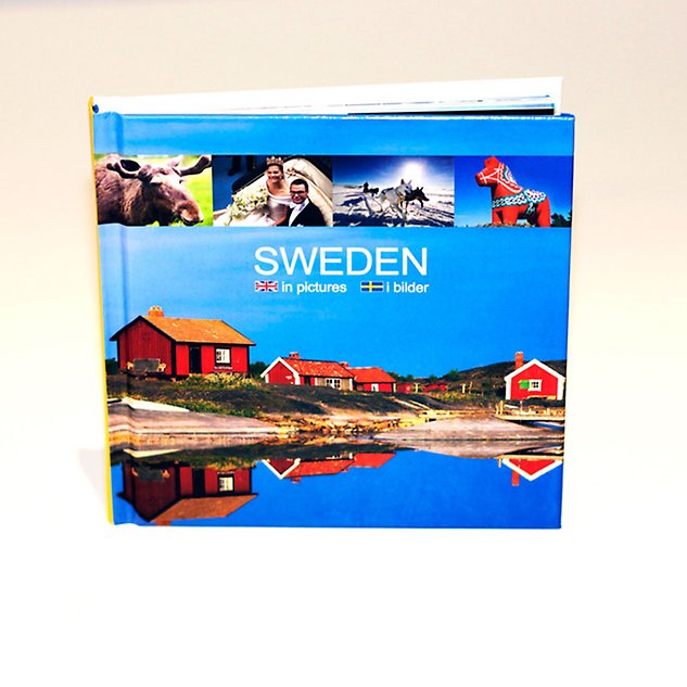 A book with a cover with small red cottages near water. Photo.