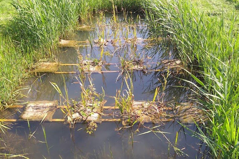 constructed-mini-wetlands-for-enhancing-nutrient-retention-eco