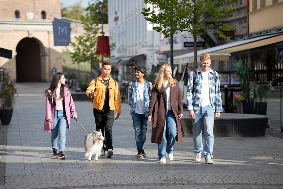 A group of people and a dog, walking along the street in a city centre, smiling and interacting with each other. Photo.
