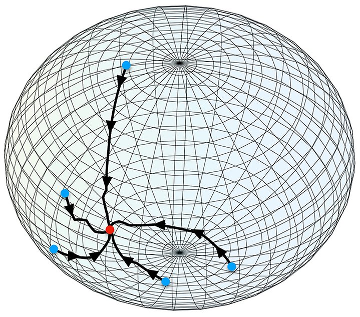 Image of a wireframe sphere with five arrows and dots. Illustration. 
